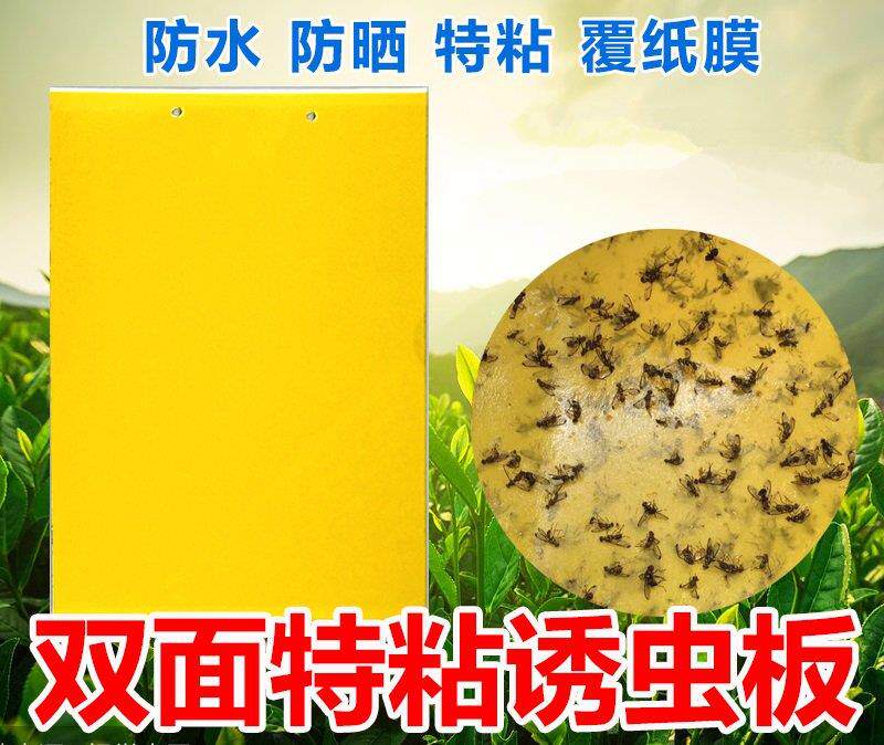 强力粘虫板诱虫板双面黄板农业果园用户外蓝板覆纸黏蓟马果蝇大棚|ruв категории доставка цветов/цветок моделирования/растения садоводства, садовых принадлежностей, других садовых принадлежностей - от Buy2taobao.com для оказания профессиональной услуги покупки агента Taobao