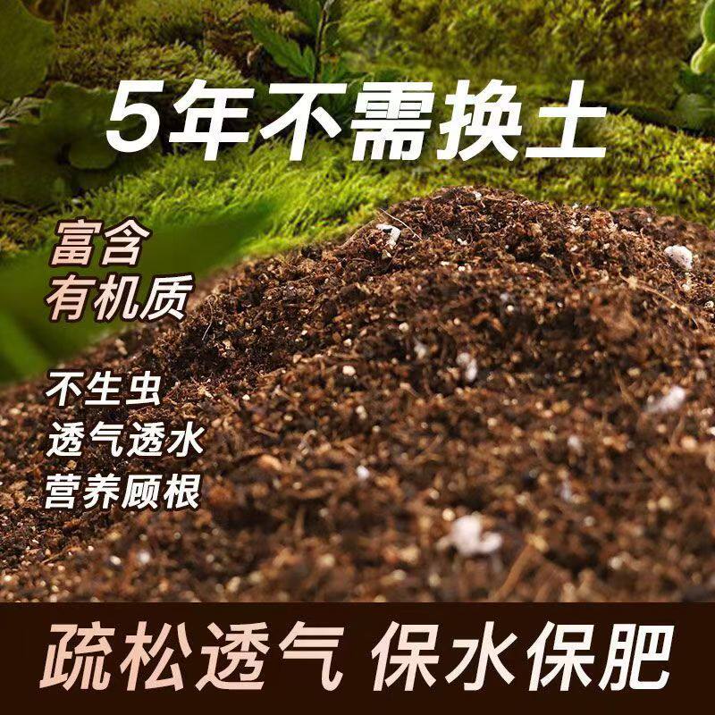 自家蓝莓基地用基质土多年配方不板结疏松透气透水杜鹃月季通用土