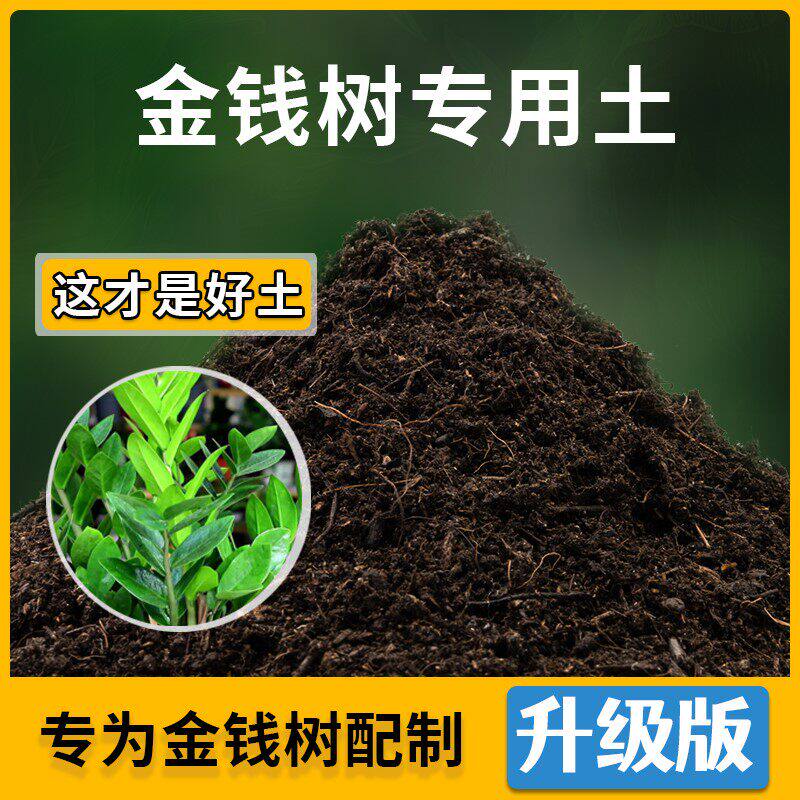 金钱树专用土花草种植土壤金钱树营养土盆栽种花养花肥料有机土