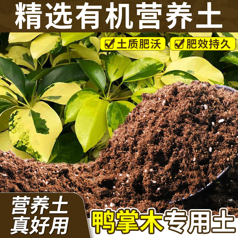 鸭掌木适用营养土养分持久花园盆栽土杂质较少改善板结大包装木本