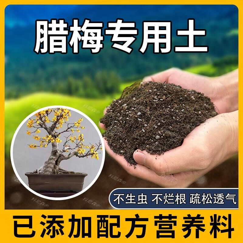 腊梅专用土肥料养花植物有机土蓬松腊梅木营养土天然花盆园艺阳台