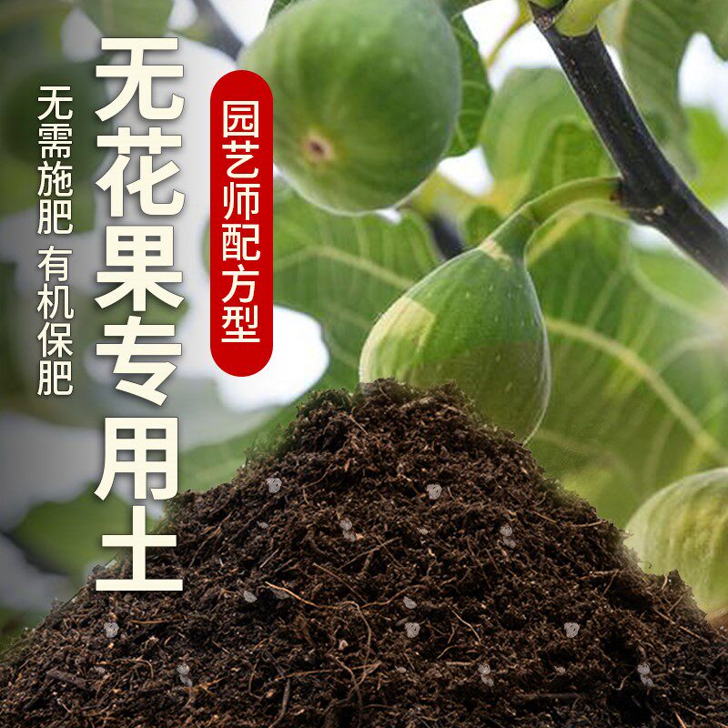 无花果专用土壤农业泥土果园种植土壤家庭阳台无花果营养土肥料土