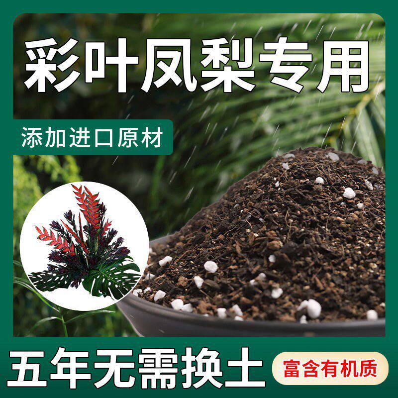 【不生虫】彩叶凤梨适用土疏松透气盆栽绿植专用土室内植物营养土
