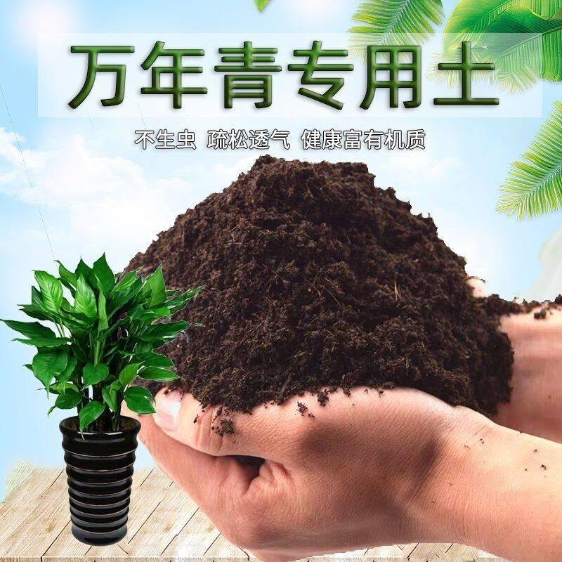 万年青专用土万年青土壤养花营养土多肉绿萝盆栽种植土椰糠土肥料