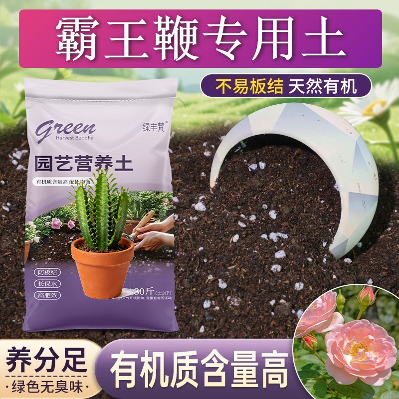 霸王鞭专用种菜土防烂根高温灭菌阳台加有机肥有机绿叶喜酸木本
