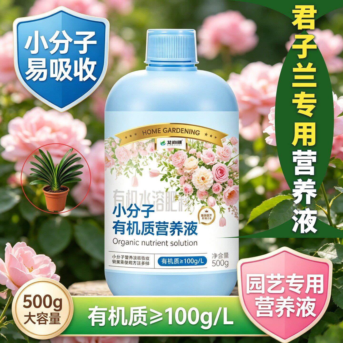 君子兰专用小分子营养液根叶双补盆栽小分子有机质水溶肥快速吸收