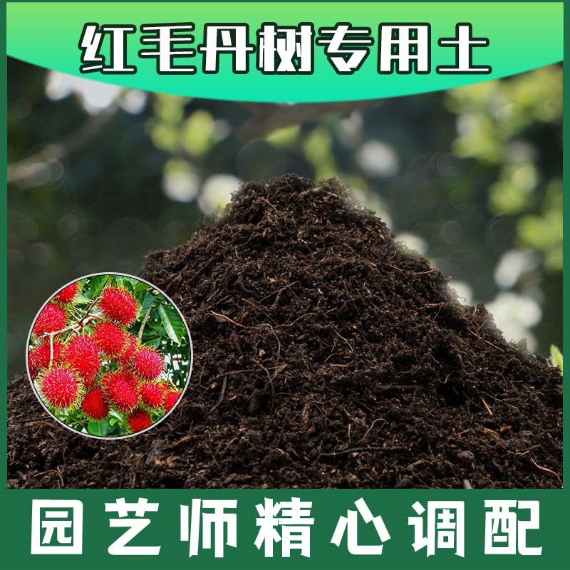 红毛丹树专用土腐殖土种花盆栽土红毛丹树营养土肥料种植有机土壤