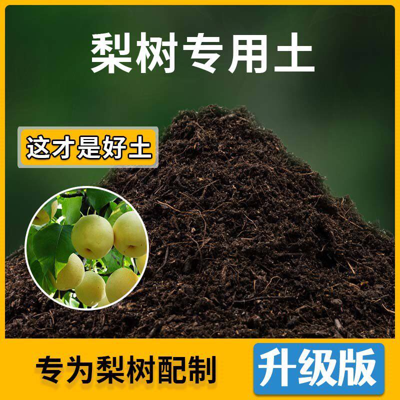 梨树专用土梨树营养土家用种植土壤家庭盆栽种花养花绿植有机土