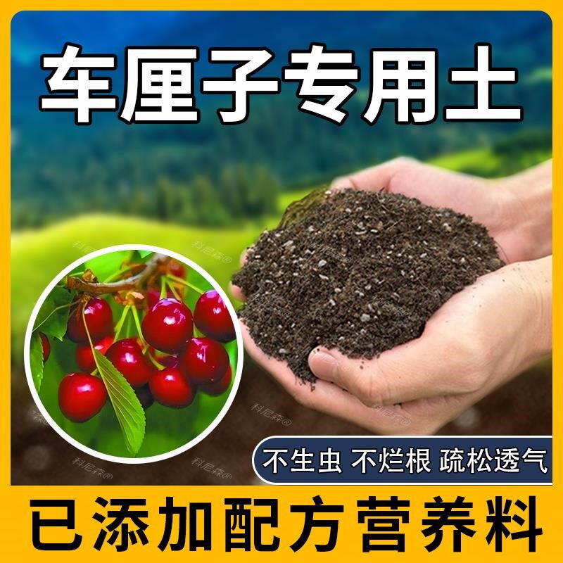 车厘子专用土肥料车厘子种树营养土通用果苗水果黑土包邮农业家庭