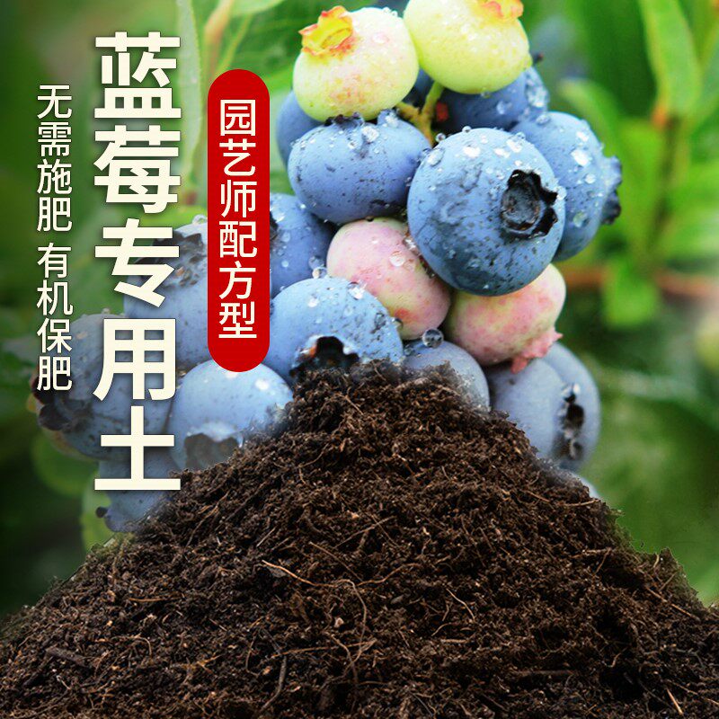 蓝莓专用土酸性土壤农业果园种植土壤家庭阳台蓝莓树营养土肥料土