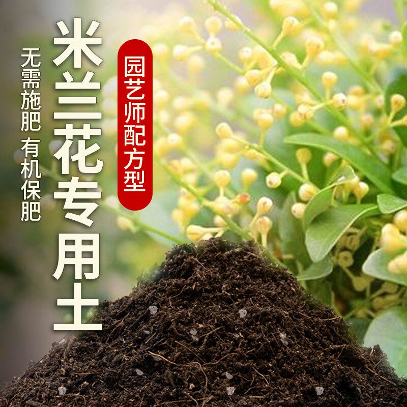 米兰花专用土盆栽土家庭养花土壤种植泥土透气米兰花营养土肥料土
