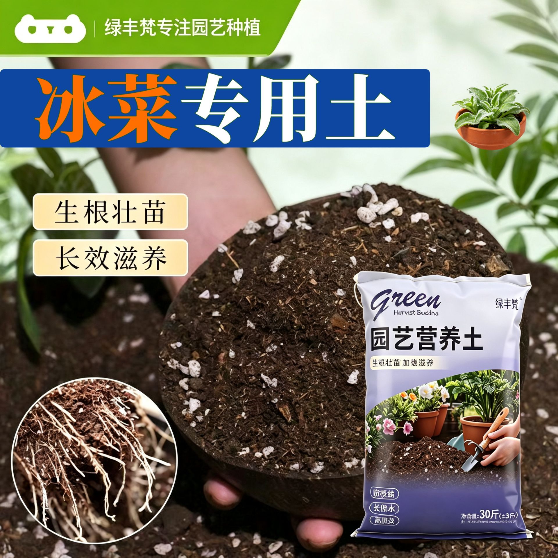 冰菜适用栽培土防烂根花园包邮天然绿叶观叶盆景土种植土不闷根