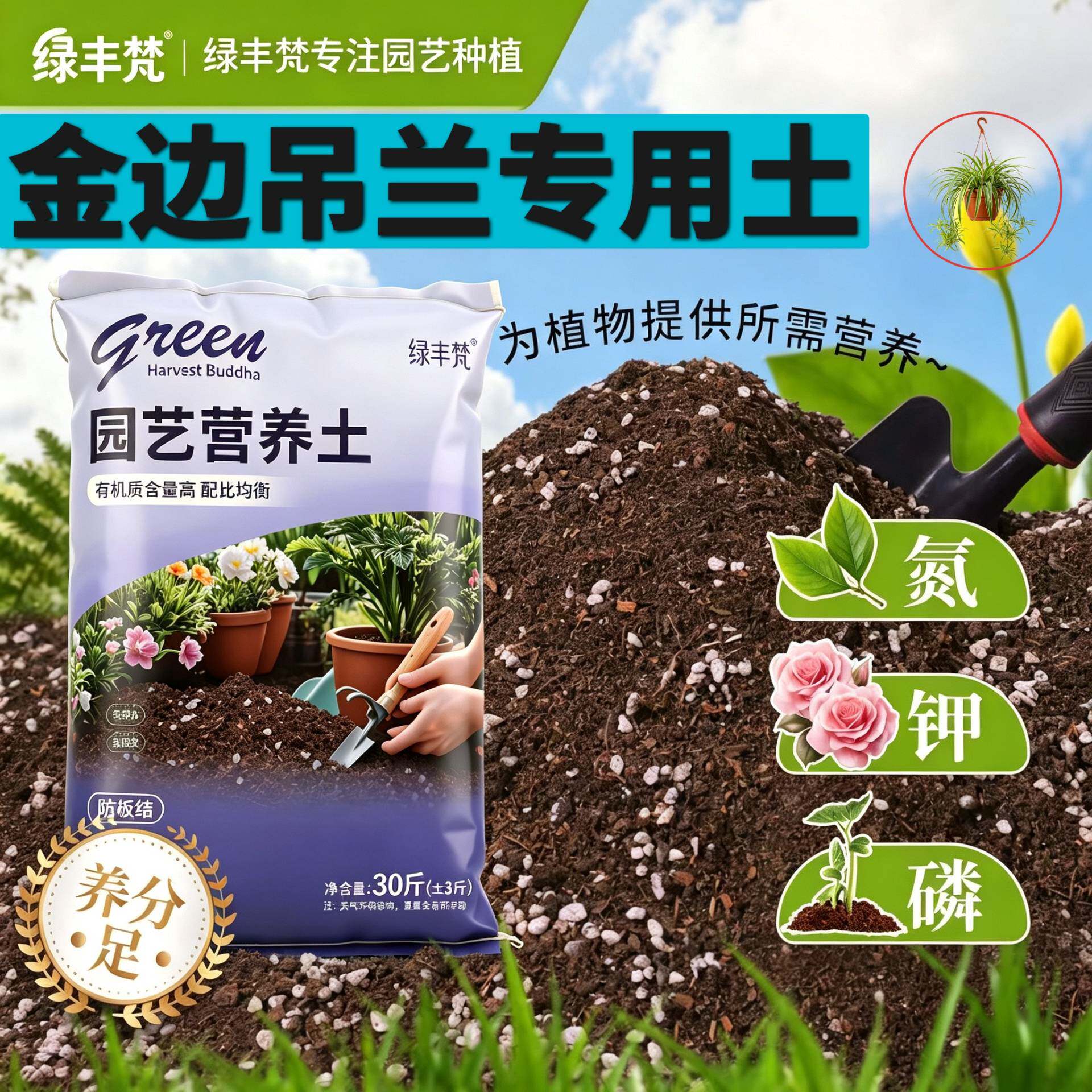 金边吊兰专用营养土保水保肥腐殖泥炭土加深生根粉优质壮根木本