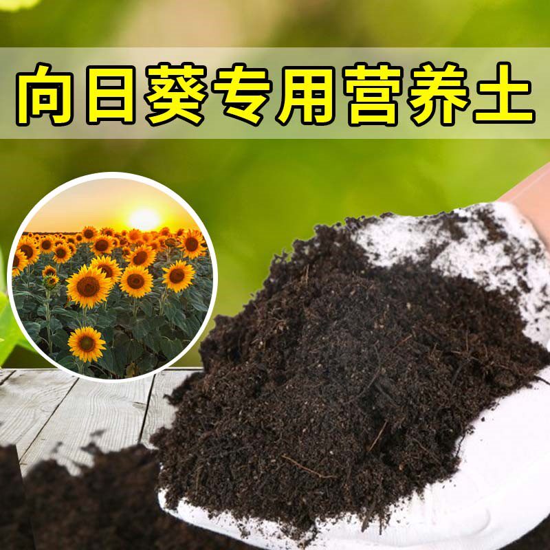 向日葵专用土家用养花有机土壤种植土肥料种花盆栽土向日葵营养土