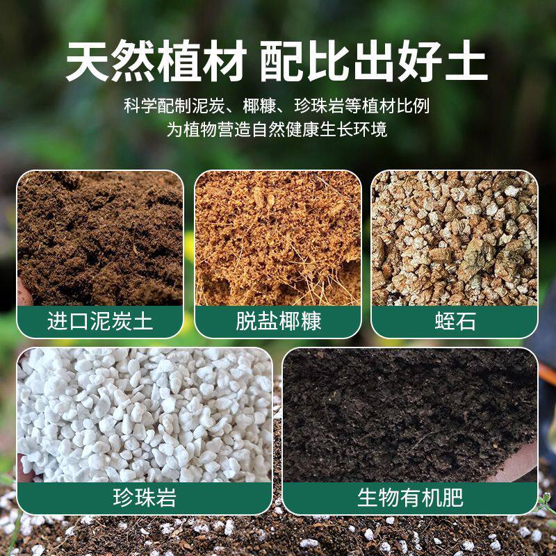 金丝竹专用营养土养分持久阳台种植土性质稳定稳定土团试用装多肉