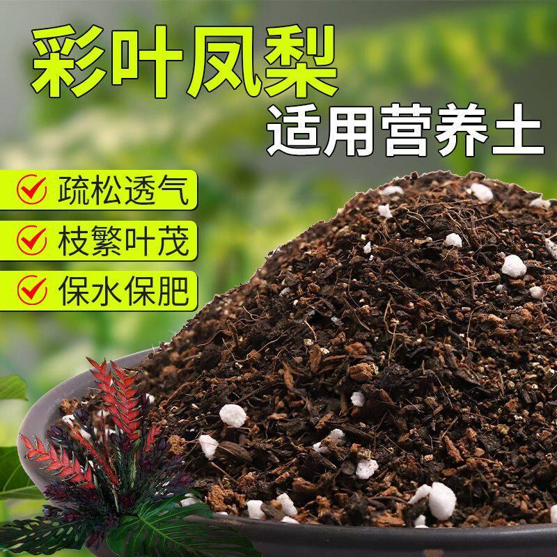 【彩叶凤梨专用土】疏松透气盆栽绿植专用室内植物有机营养土肥料