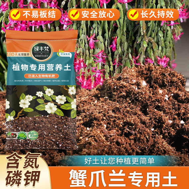 蟹爪兰专用配方土持水性好绿植种植土无杂草籽优化根际无草籽观叶