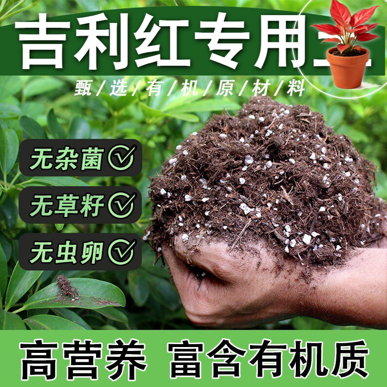 吉利红适用泥炭土不板结防烂根桌面扦插种植土菜园营养土壮根育苗