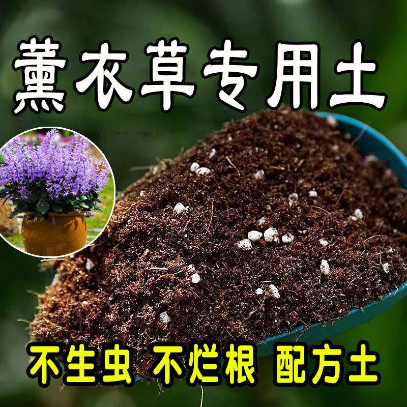 【薰衣草专用土】营养土家庭盆栽绿植室内植物肥料种植土