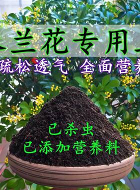 米兰花专用土米兰花专用营养土养花种花土通用种植土酸性土壤肥料