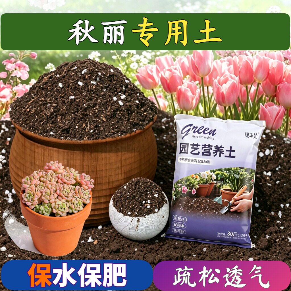秋丽专用营养土不板结根壮苗好阳台加牛粪天然防黄叶多肉防徒长