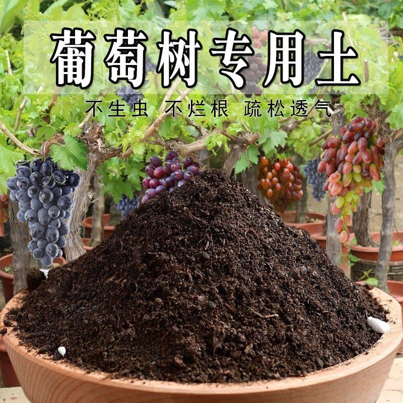 葡萄树专用土果树发酵土壤天然包邮育苗葡萄树专用营养土种树肥料