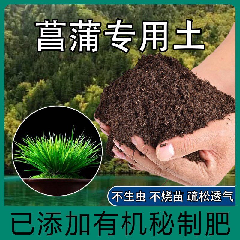 菖蒲专用土金钱菖蒲虎须菖蒲专用盆栽肥料花泥土植物有机营养土壤