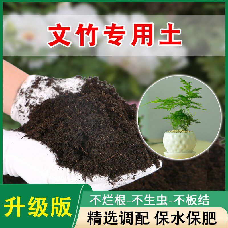 文竹专用土绿植营养土种养云竹培养土壤盆栽肥料培土泥土种植土壤