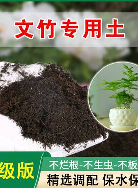 文竹专用土绿植营养土种养云竹培养土壤盆栽肥料培土泥土种植土壤