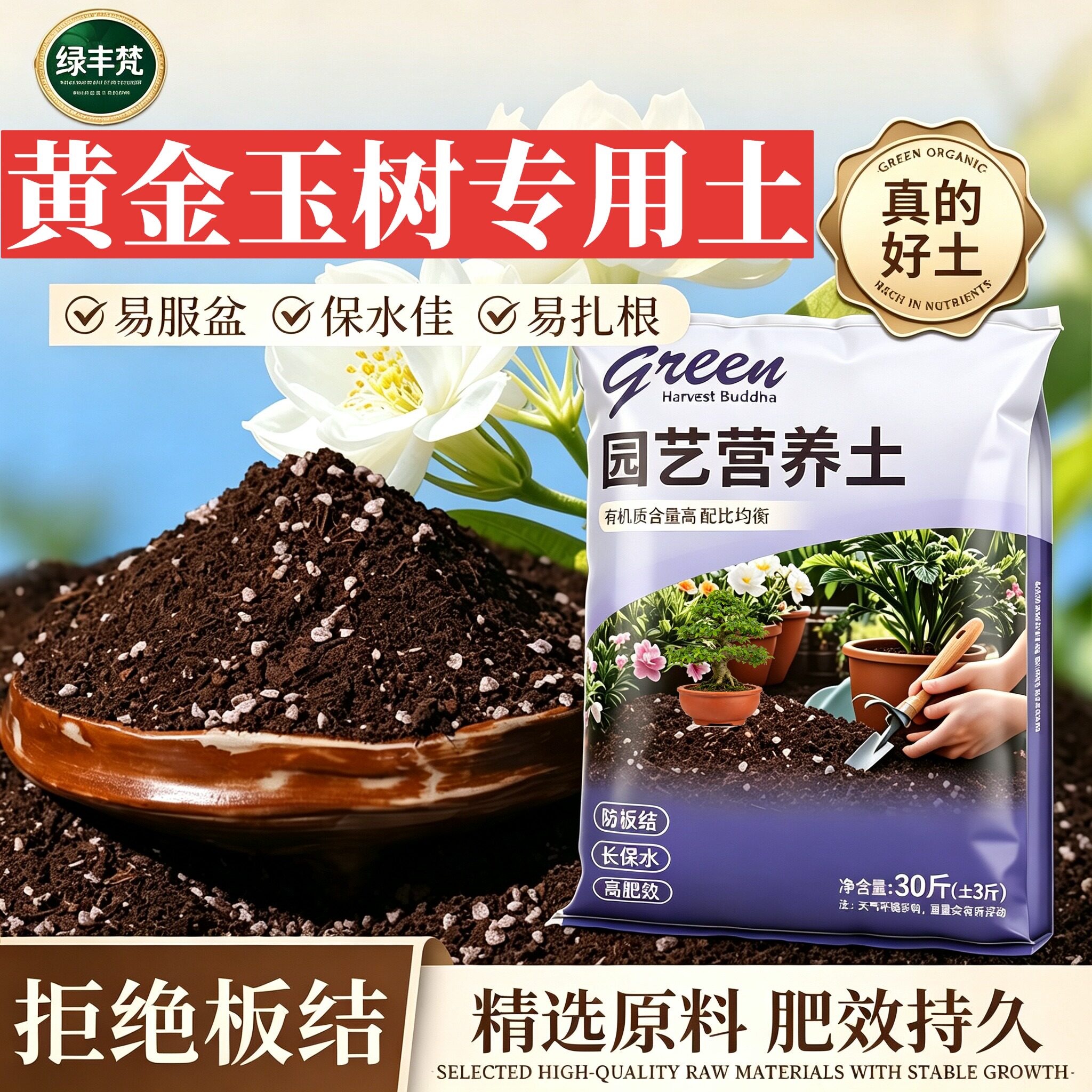 黄金玉树适用进口泥炭土高温灭菌家庭园艺加有机肥优质绿叶观叶