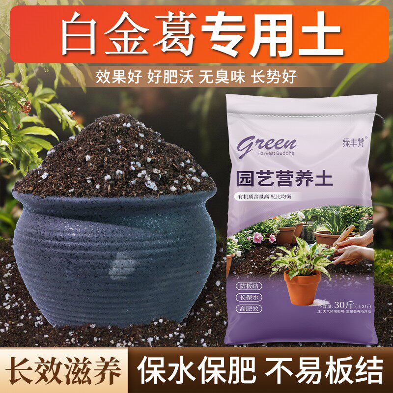 白金葛专用栽培土疏松透气不板结花园加牛粪优质壮根喜酸增色绿叶