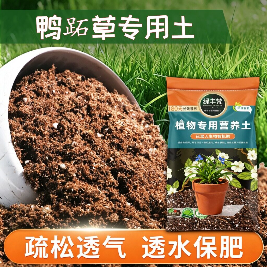 鸭跖草适用腐殖土富含有机质地栽盆栽土有机质丰富绿叶试用装木本