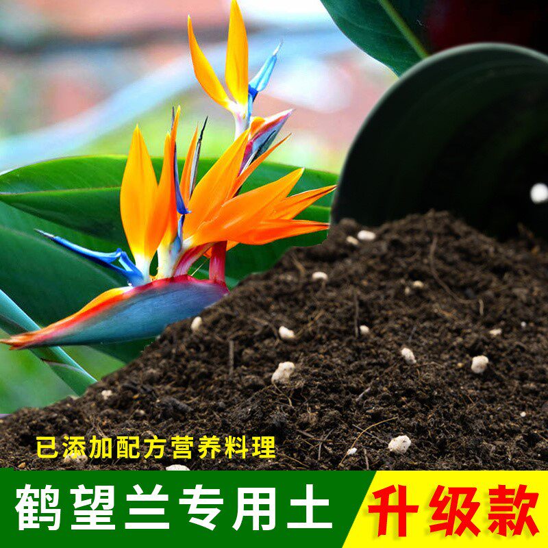 鹤望兰专用土有机土肥料家用种植土鹤望兰营养土盆栽养花通用包邮