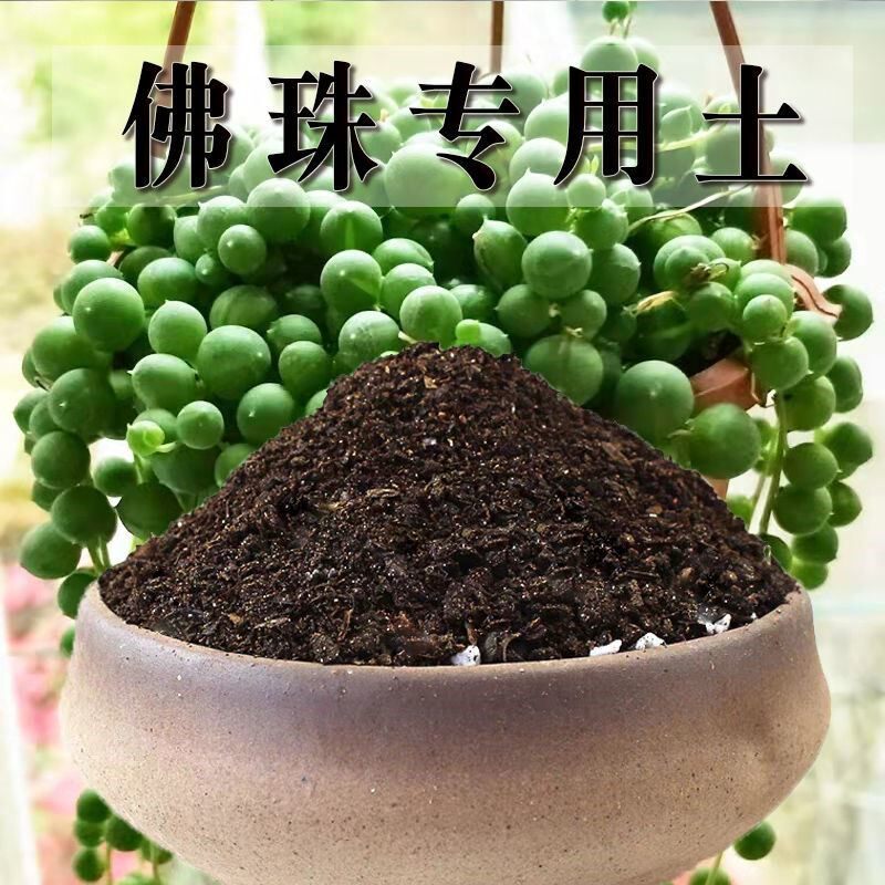 佛珠专用土情人泪土养花营养土通用种花土壤花卉种植土有机肥料