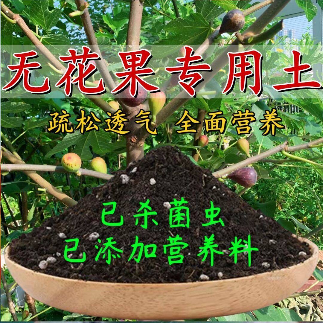 无花果专用土盆栽无花果营养土通用沙质土壤养花土绿植种植土肥料