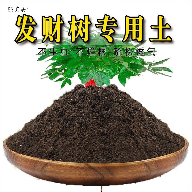 发财树专用土发财树专用营养土盆栽绿植土养花土壤种植土有机肥料
