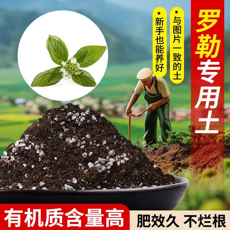 罗勒营养土疏松透气含泥炭肥料通用有机种植土轻质土壤专用土