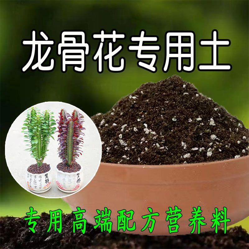 龙骨花专用土龙骨花土盆栽肥料种花泥土营养土通用种植土壤养花土
