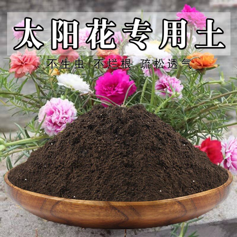 太阳花专用土种菜园艺蓬松种植绿植有机土天然太阳花专用营养土