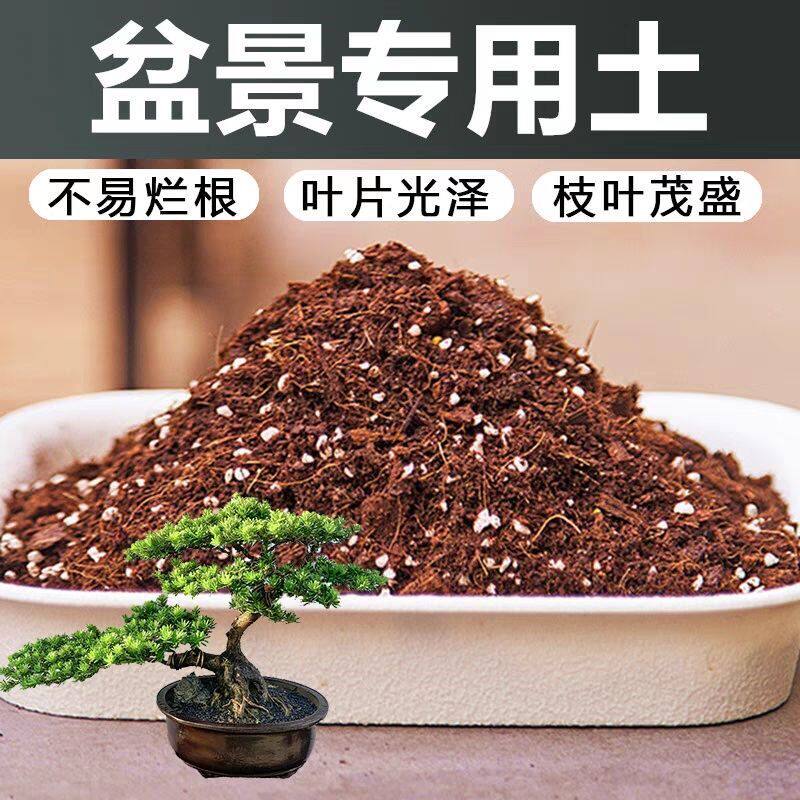 盆景专用土风化土赤玉土种植土盆栽罗汉松土黄杨土柏树土金弹子土