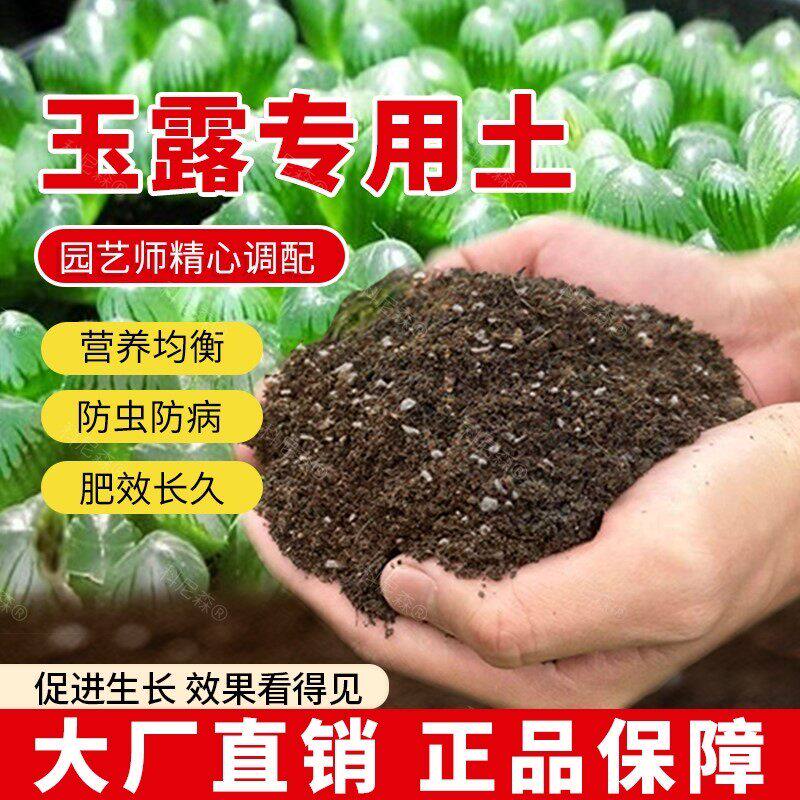 玉露专用土肥料玉露营养土室内花卉盆栽土壤绿植种植透气园艺植物