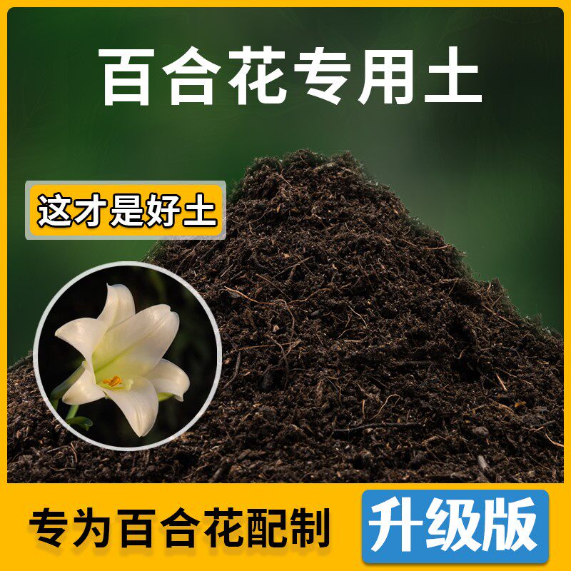 百合花专用土花草种植土壤百合花营养土盆栽种花养花肥料有机土