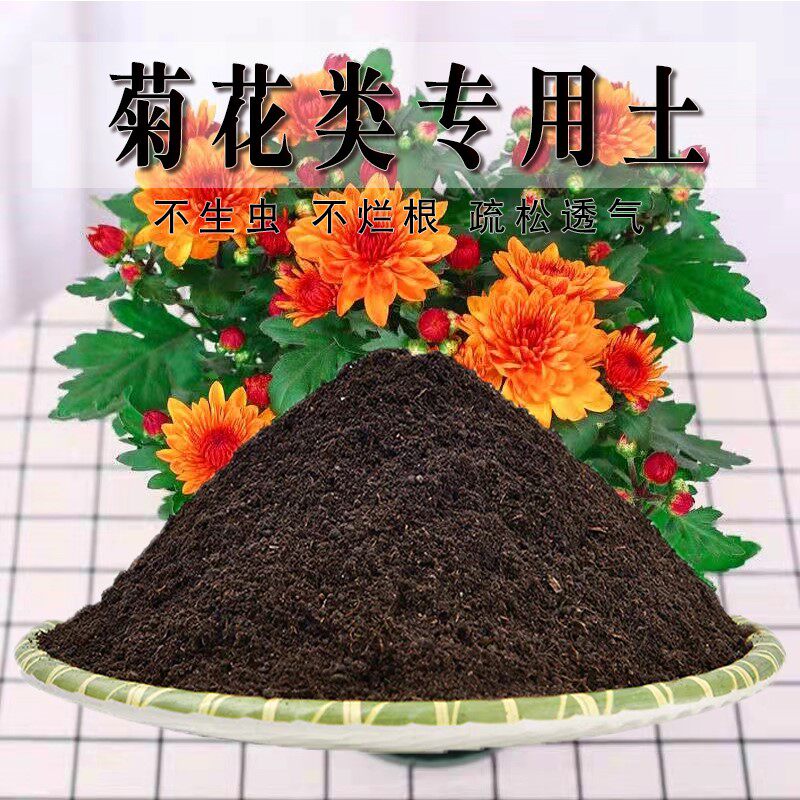 菊花类专用土家庭盆栽肥料花泥土菊花类营养土通用养花种花种植土