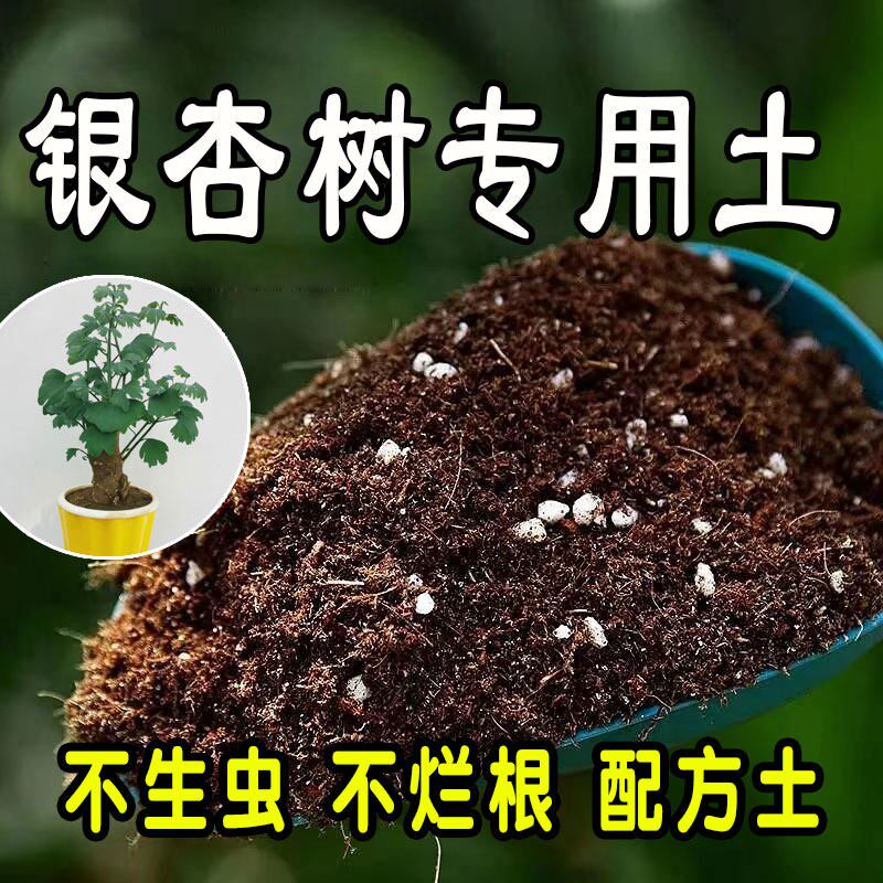【银杏树专用土】营养土家庭盆栽绿植室内植物肥料种植土