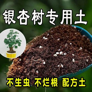 【银杏树专用土】营养土家庭盆栽绿植室内植物肥料种植土