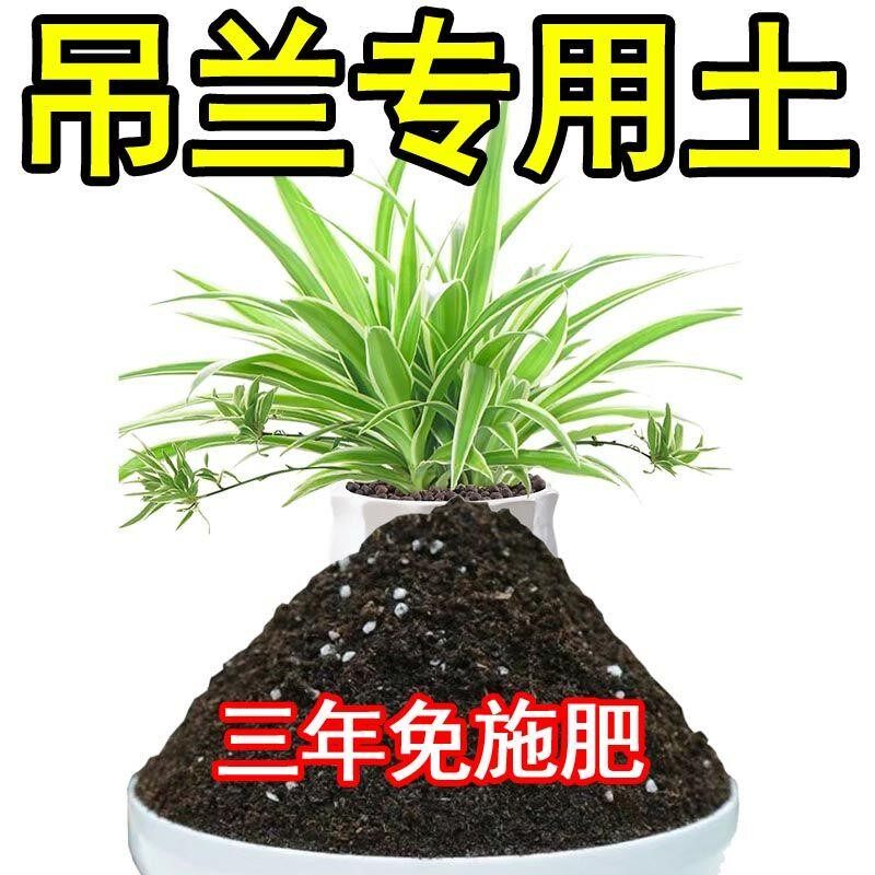 吊兰专用土营养土通用型室内种花土兰花专用土盆栽土家庭养花土壤