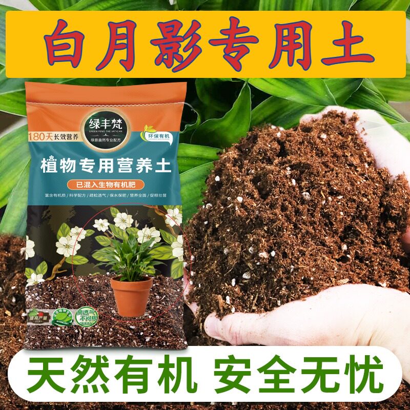 白月影专用泥炭土干湿循环好营养土洁净基质舒缓根系家用装多肉