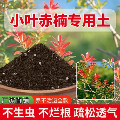 小叶赤楠专用土花卉有机营养土疏松育苗花土室内养花专用土透气