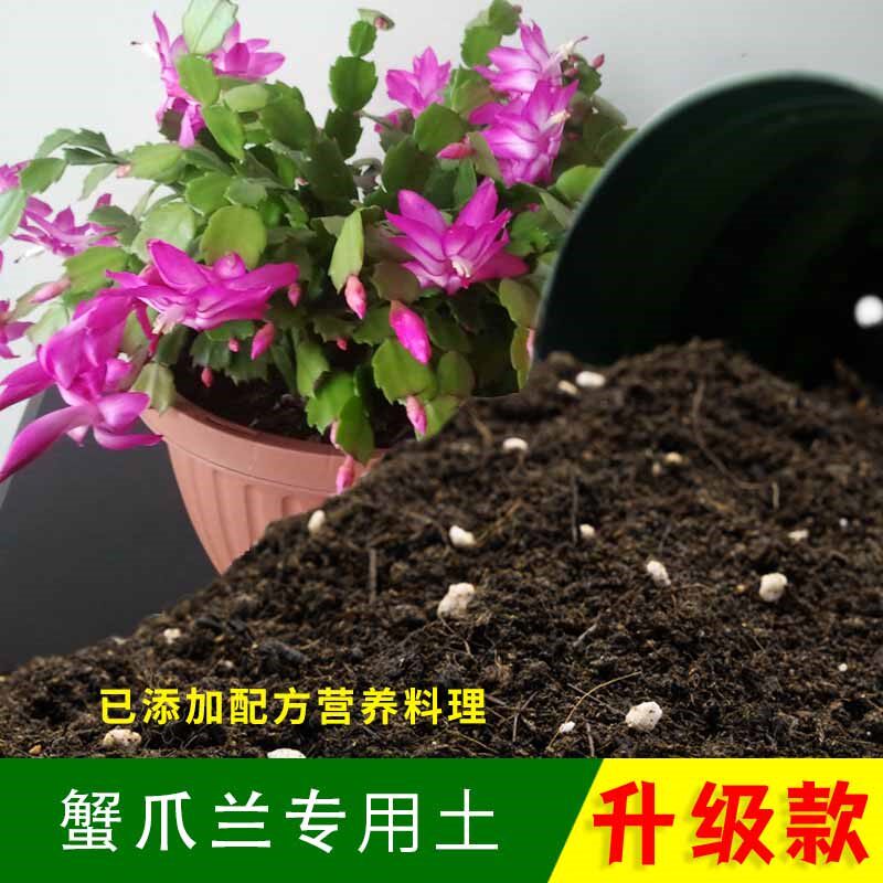 蟹爪兰专用土5斤装园艺盆栽弱酸性营养土绿植专用沙质泥炭土肥料图片