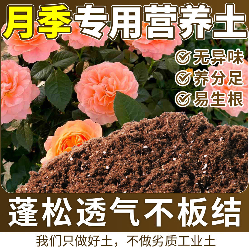 月季适用种植土绿叶增色园艺阳台盆栽土轻质土促开花嫁接促发芽